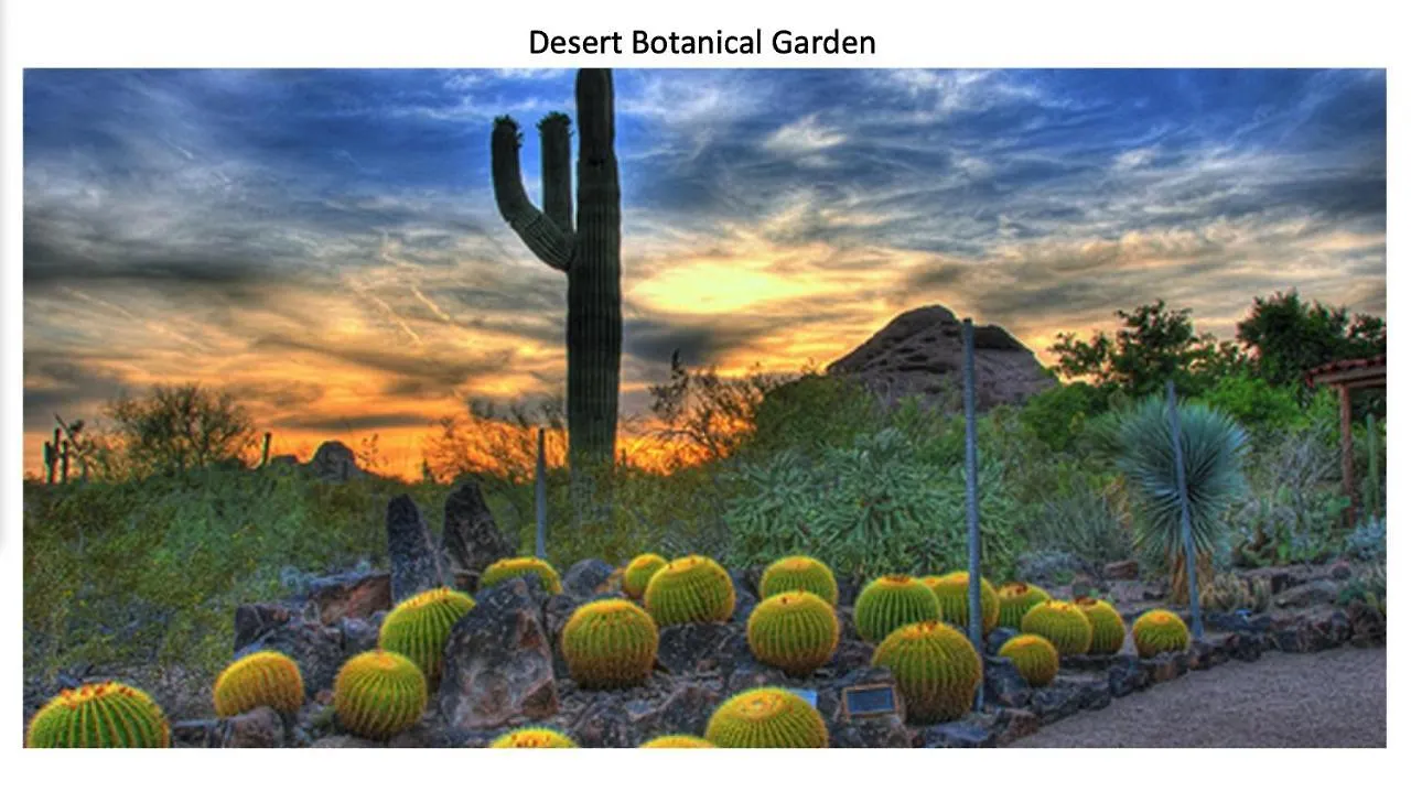 Spacious Stunning Ranch House, Hot-Tub And Private Basketball Court, Near Westworld, Tpc Scottsdale United States